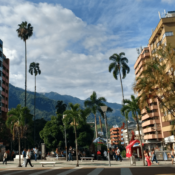 Mudanzas en Ibagué - Más metros