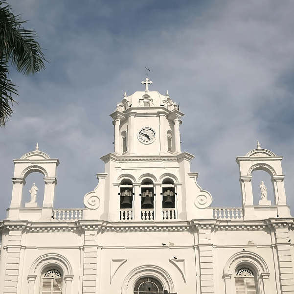 Mudanzas en Montería - Más metros